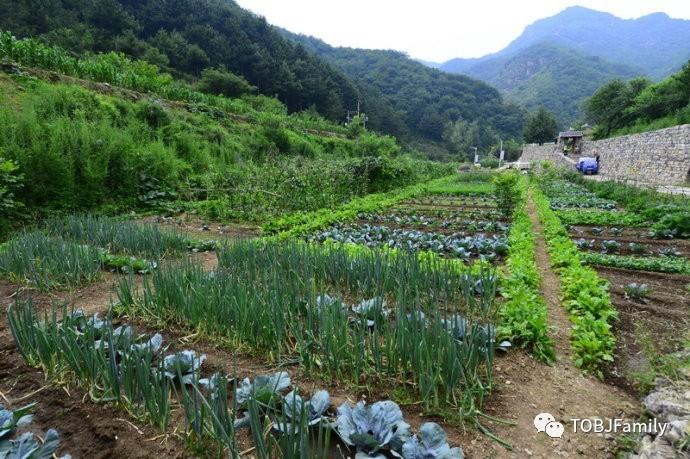 近郊旅游攻略，周末溜达指南，不折腾也能玩出花