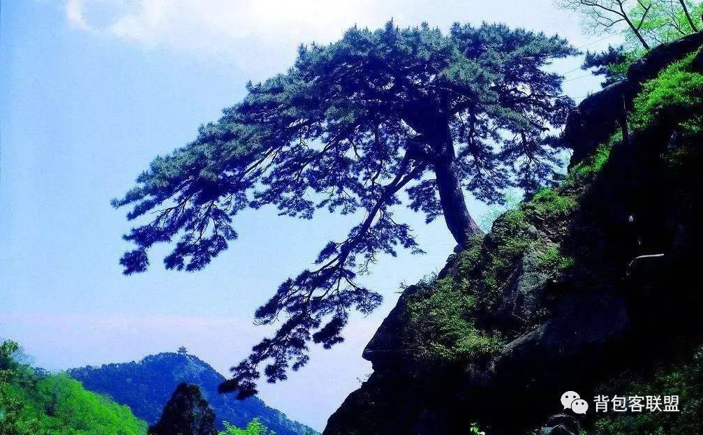 济南泰山四日旅游攻略，从泉城到岱顶，一场说走就走的山水之旅