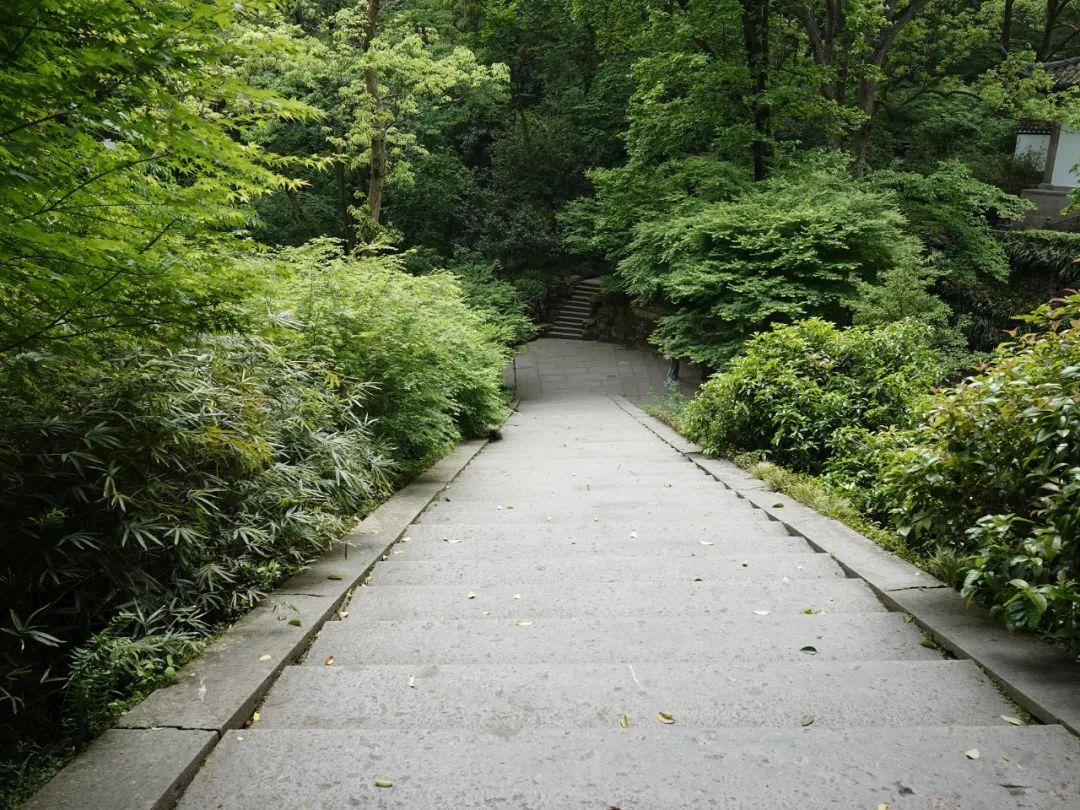 虎跑旅游攻略,杭州城里最被低估的慢生活角落 虎跑旅游攻略,杭州城里最被低估的慢生活角落