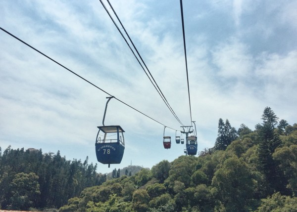 高铁到厦门旅游攻略，一场说走就走的海风之旅