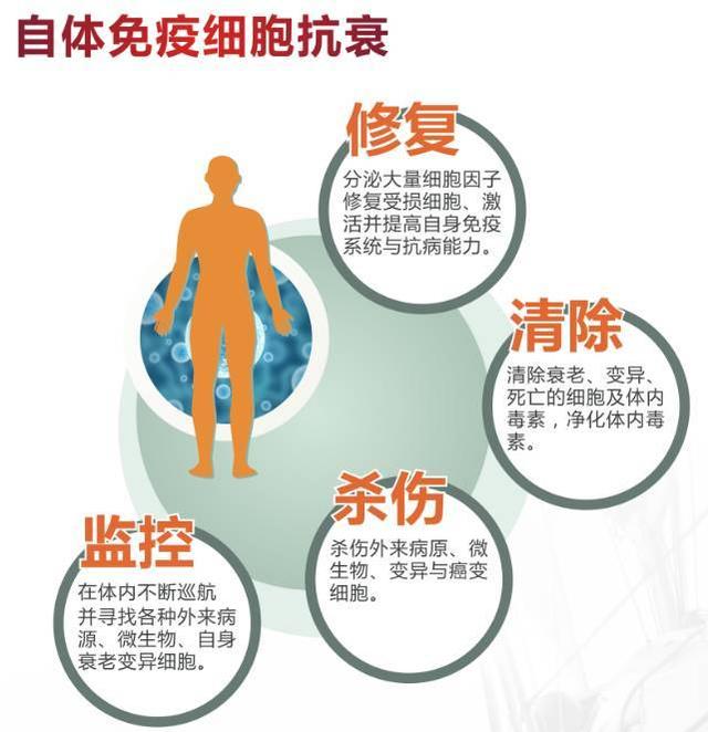 健康评估重点，用Golang思维重新理解你的身体状态