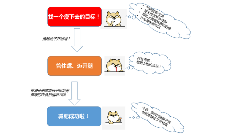 健康系统规则，我琢磨了很久才搞明白的那些事儿