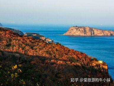 重庆到大连跟团旅游攻略，从山城到海滨的奇幻之旅